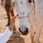 Hazte Amigo de Arunda Silente