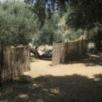 En este comienzo de año