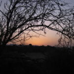 De la exigencia al agradecimiento