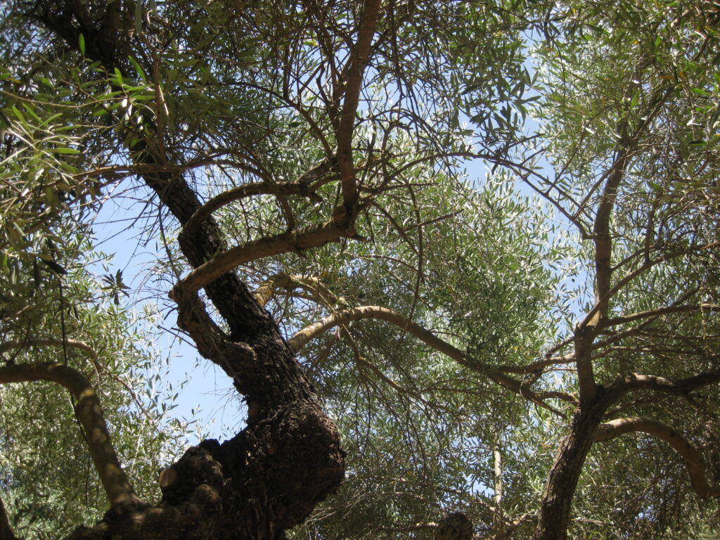 Retiro de Espiritualidad Cristiana