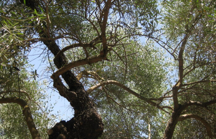 Retiro de Espiritualidad Cristiana